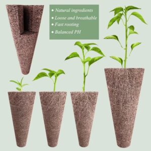 Cultivez vos légumes chez vous – Image 3