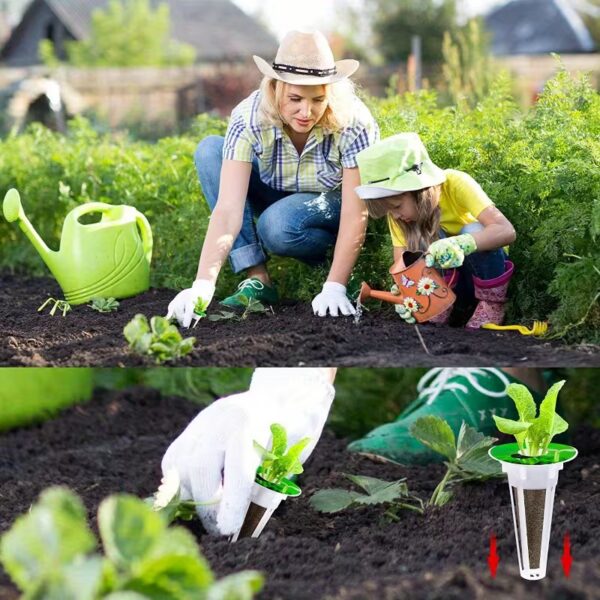 Cultivez vos légumes chez vous