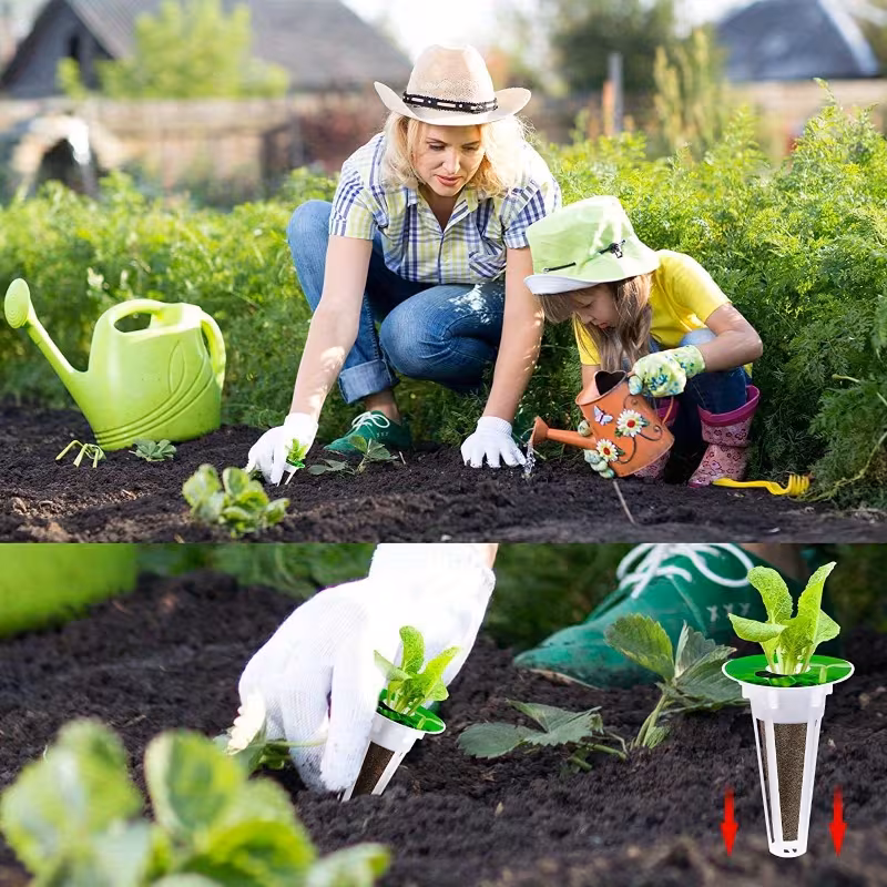 Cultivez vos légumes chez vous – Image 4