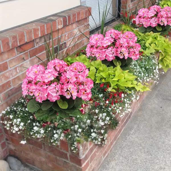 Lot de 6 Bouquets à Planter