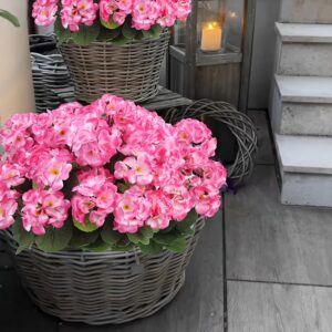 Lot de 6 Bouquets à Planter – Image 3