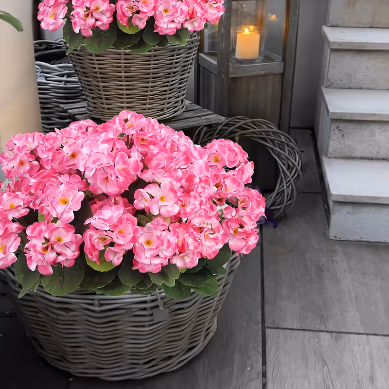 Lot de 6 Bouquets à Planter – Image 3