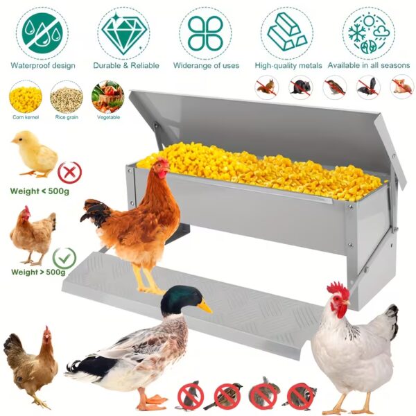 Mangeoire Poule