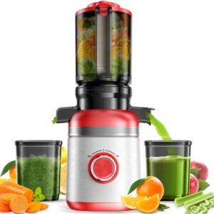 Extracteur de Jus 3 — Jus Frais en 30 sec